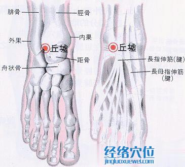 丘墟穴的位置解剖分析图