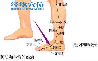 足临泣穴位图