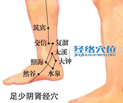 大钟穴的位置图