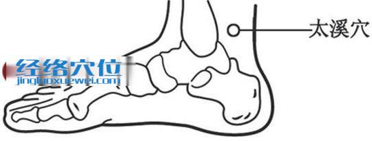 太溪穴位图