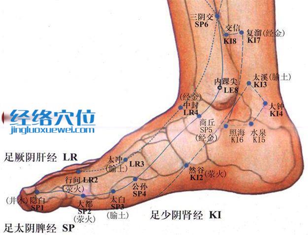 太溪穴的准确位置图