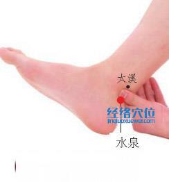 水泉穴位位置图