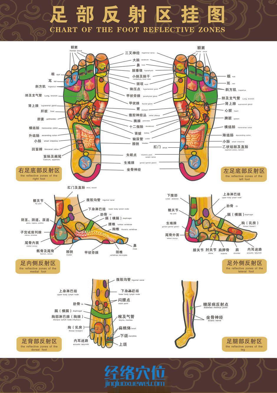 高清足部反射区图