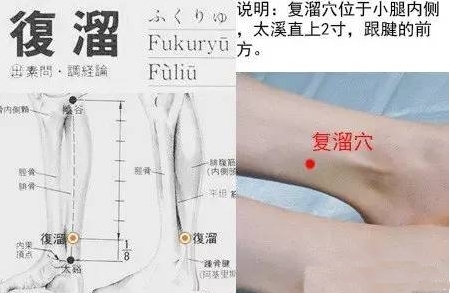 复溜的准确位置图和作用