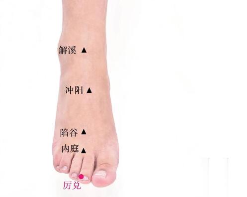 厉兑的准确位置图及功效视频