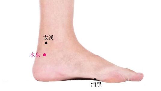 水泉的准确位置图及功效视频