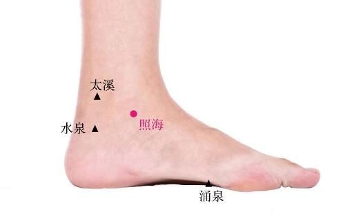 照海的准确位置图及功效视频