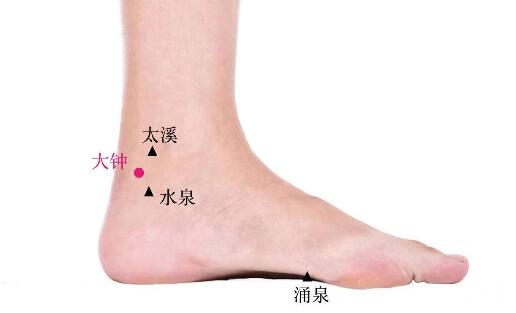 大钟的准确位置图及功效视频