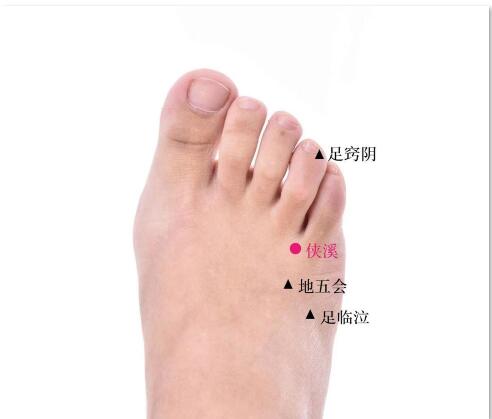 侠溪的准确位置图及功效视频