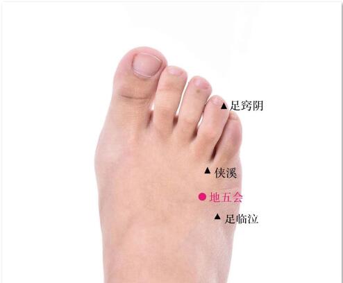 地五会的准确位置图及功效视频