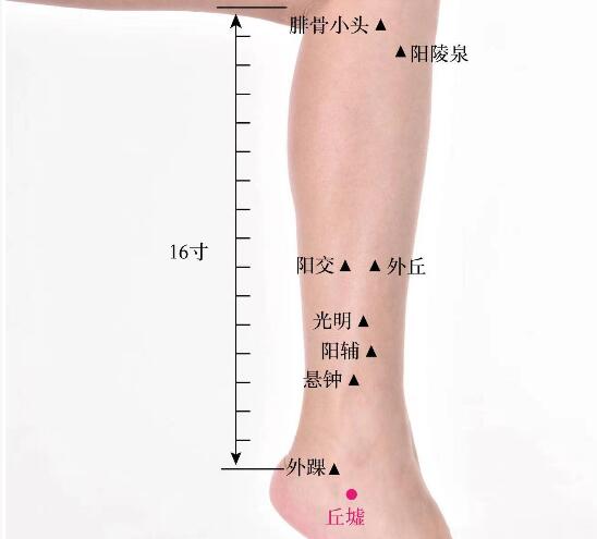 丘嘘的准确位置图及功效视频位位置图