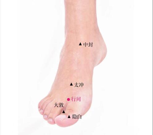 行间的准确位置图及功效视频