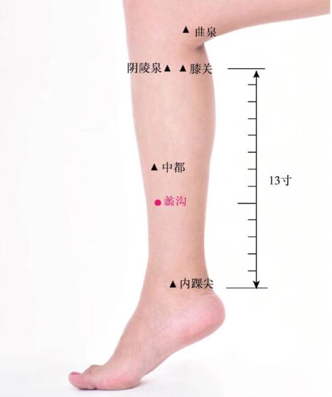 蠡沟的准确位置图及功效视频