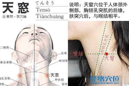 天窗穴位位置图