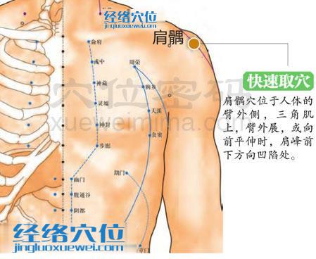 肩髃穴的准确位置图