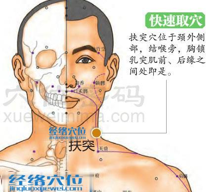 图解扶突穴的准确位置