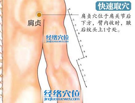 肩贞穴的准确位置图