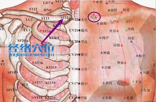 气舍穴位位置图