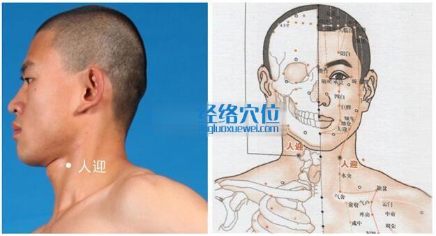 人迎穴的准确位置图