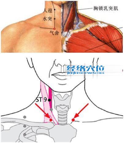 气舍穴位位置图
