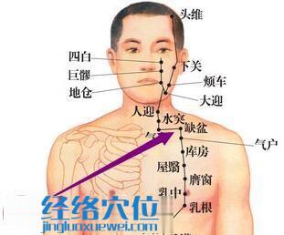 缺盆穴位图