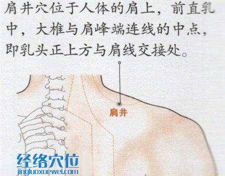 肩井穴的位置图