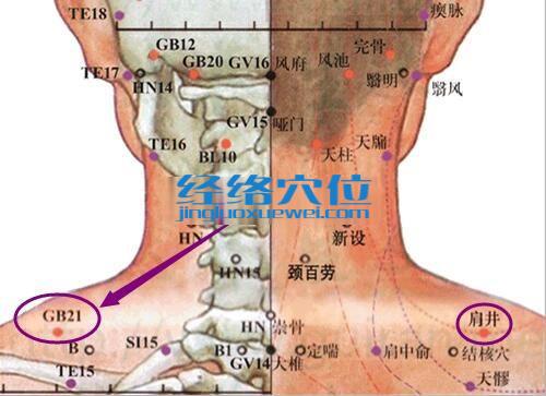 肩井穴的准确位置图