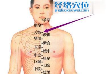 天突穴位位置图