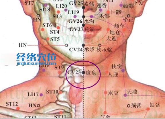 廉泉穴的准确位置图