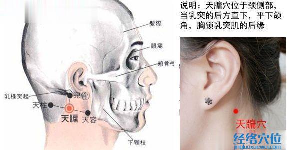 天牖穴的位置解剖分析图