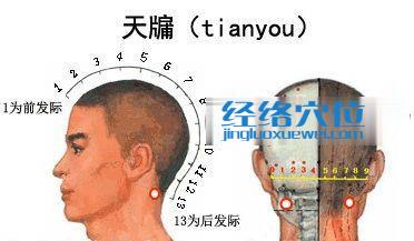 天牖穴的位置图片