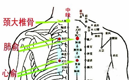 肺俞穴的准确位置图位位置图