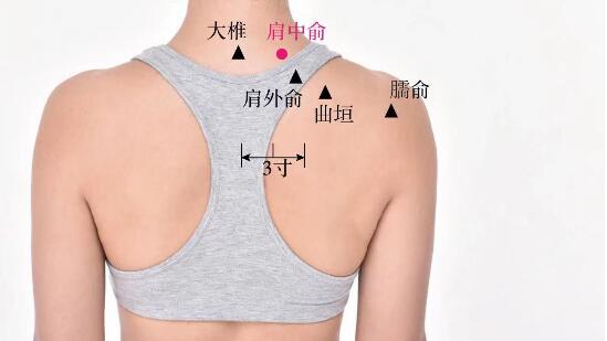 肩中俞的准确位置图及功效视频位位置图