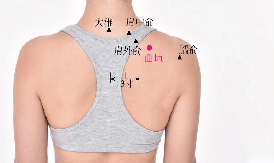 肩外俞的准确位置图及功效视频