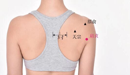 肩贞的准确位置图及功效视频