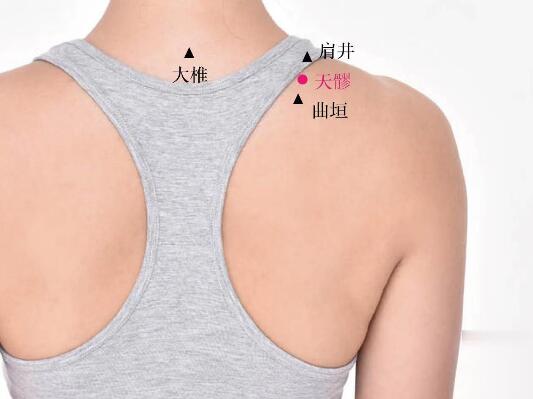 天髎的准确位置图及功效视频位位置图