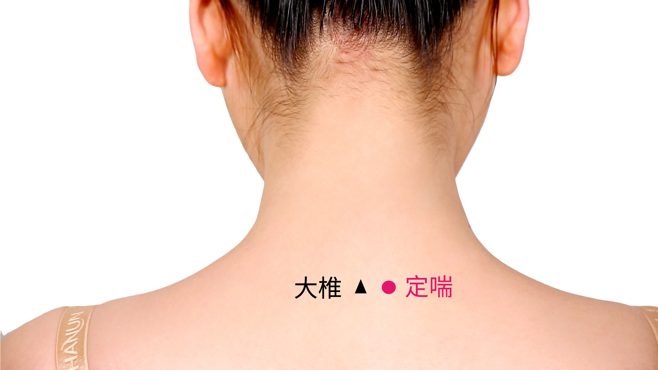 定喘的准确位置图及功效视频
