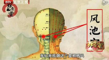 风池穴的位置图
