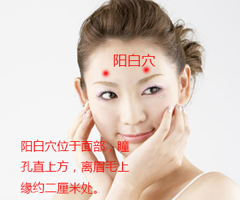 阳白穴的位置图