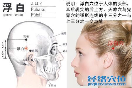 浮白穴的位置图
