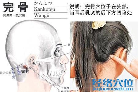 完骨穴的位置图