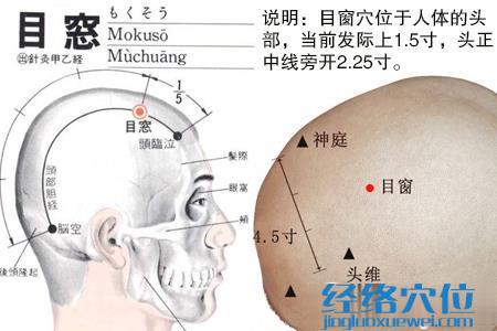 目窗穴位位置图