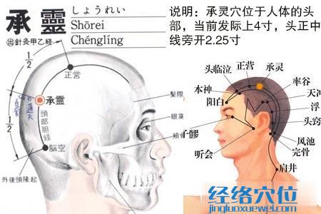 承灵穴的位置图
