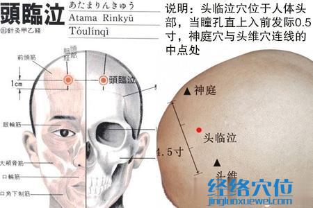 头临泣穴的位置图