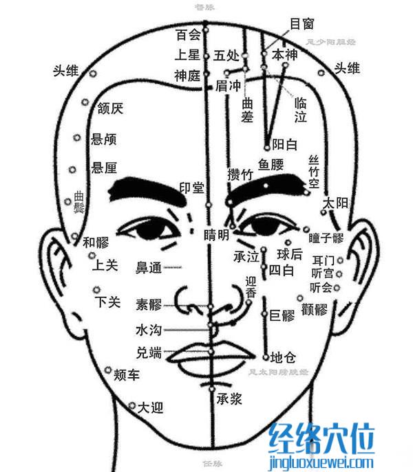 人体面部穴位图