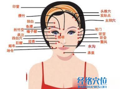 面部穴位图解大全按摩脸部穴位图彩图