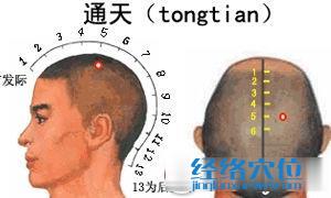 通天穴位准确位置图