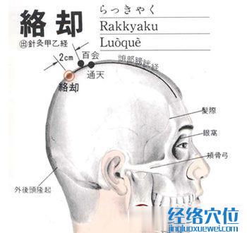 络却穴位位置图