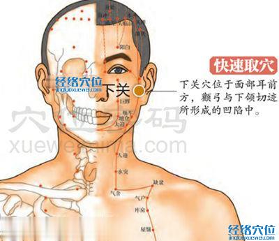 下关穴位位置图