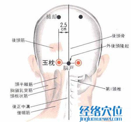 玉枕穴的准确位置图